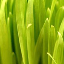 一键环境切换的手机版ddos攻击器