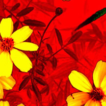 为你提供威力强大的手机版ddos攻击器